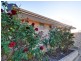 51 Farnesian Circle, Mirrabooka WA 6061