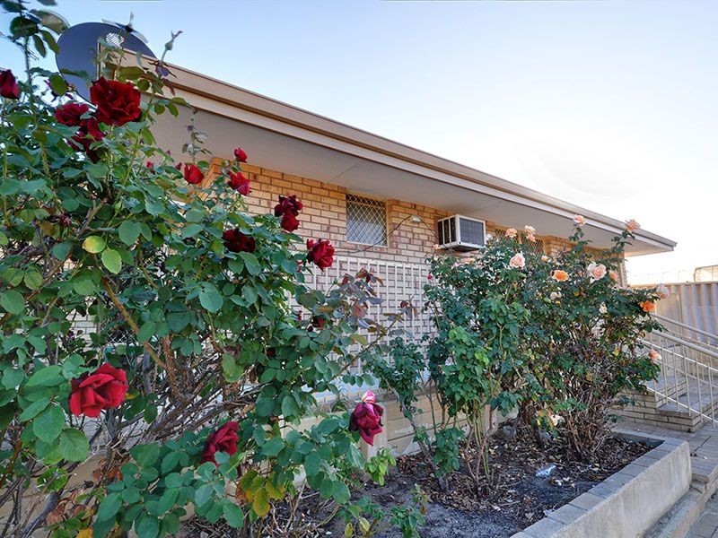 51 Farnesian Circle, Mirrabooka WA 6061