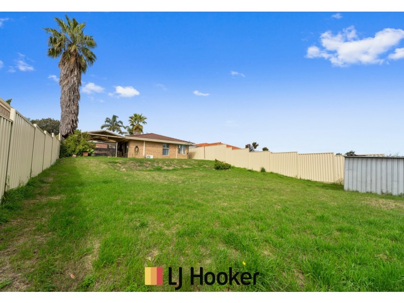 4 Firethorn Retreat, Mirrabooka WA 6061