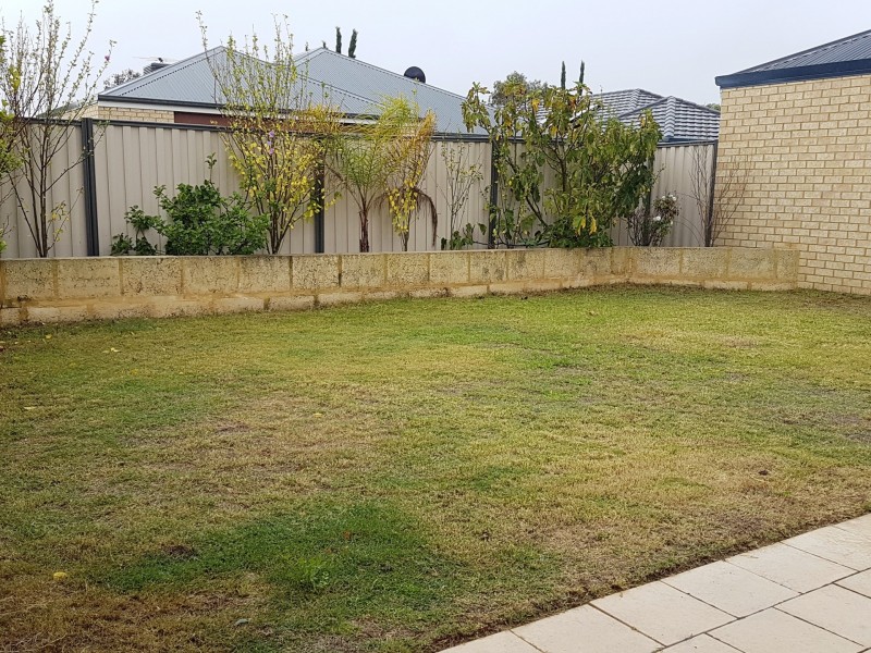 8 Teocote Crescent, Aubin Grove WA 6164