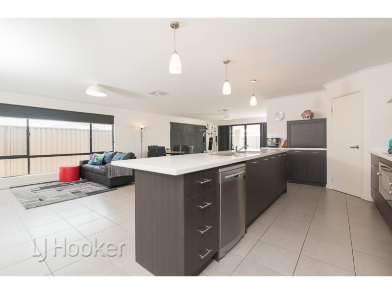 17 Andalusian Loop, Baldivis WA 6171