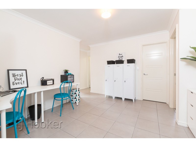17 Andalusian Loop, Baldivis WA 6171