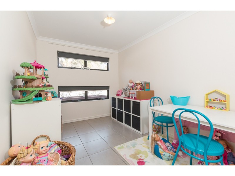17 Andalusian Loop, Baldivis WA 6171