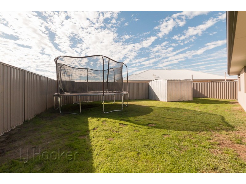 17 Andalusian Loop, Baldivis WA 6171
