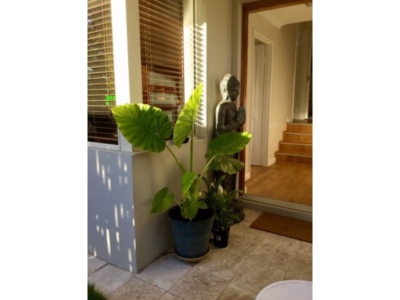 145 Safety Bay Road, Shoalwater WA 6169