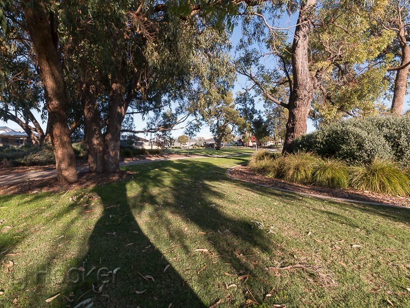 14 Lucan Lane, Baldivis WA 6171