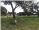 328 Doghill Road, Baldivis WA 6171