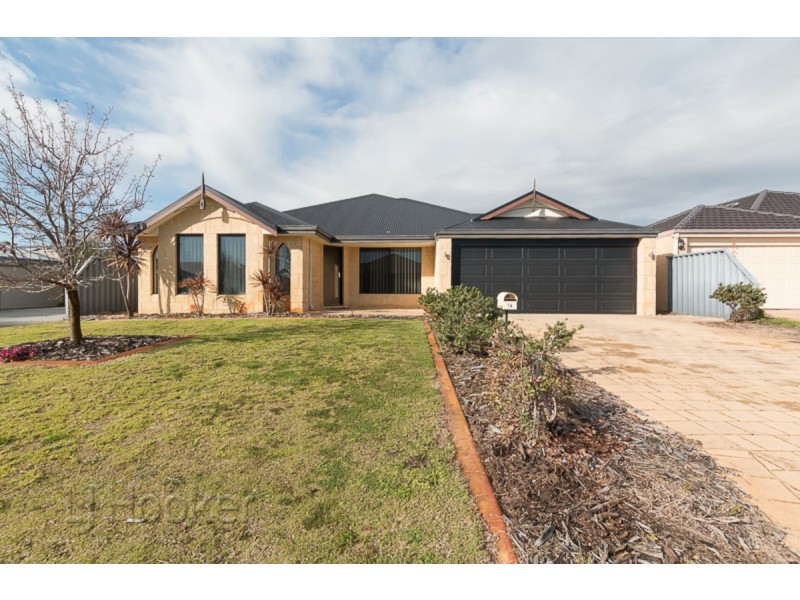 16 Starflower Way, Baldivis WA 6171