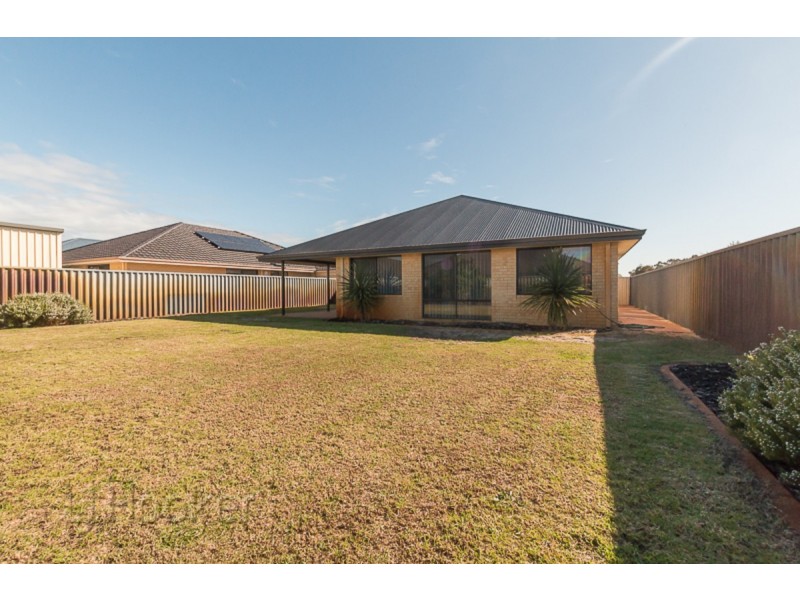 16 Starflower Way, Baldivis WA 6171