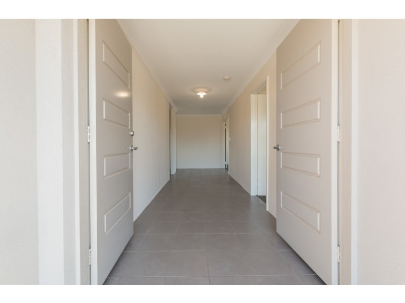 12 Saladin Way, Baldivis WA 6171