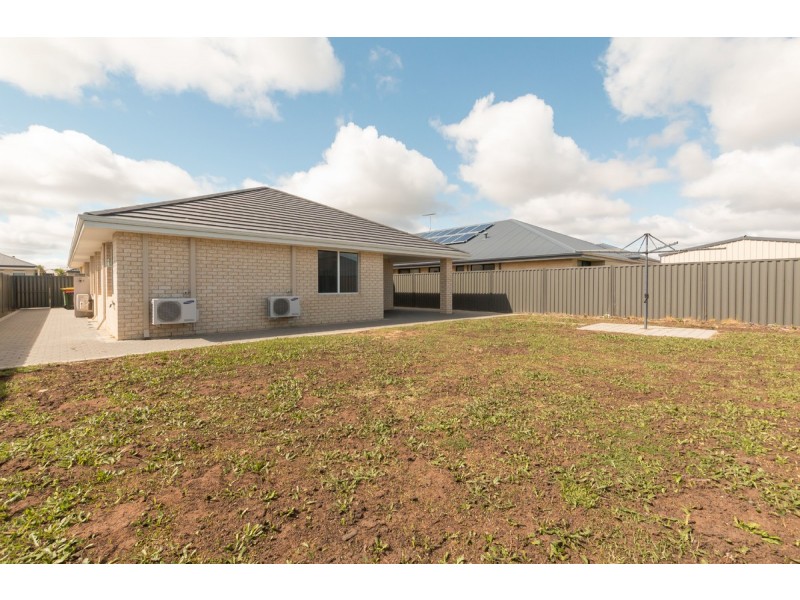 12 Saladin Way, Baldivis WA 6171