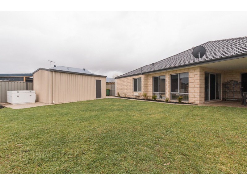 19 Arrino Parade, Baldivis WA 6171