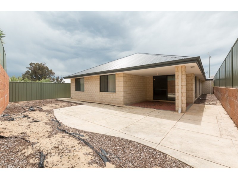 20 Blaxland Terrace, Baldivis WA 6171