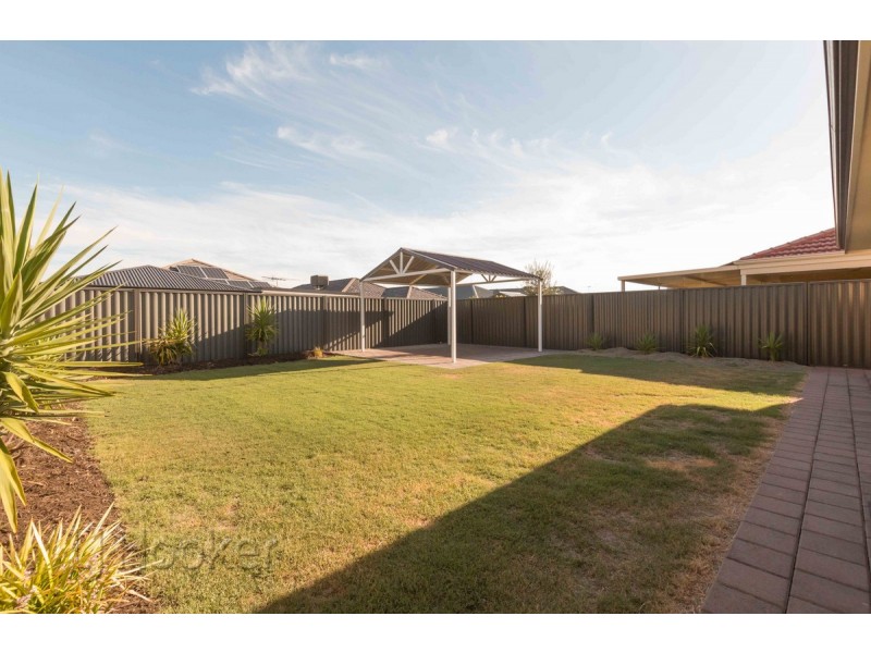 18 Rubens Circuit, Baldivis WA 6171
