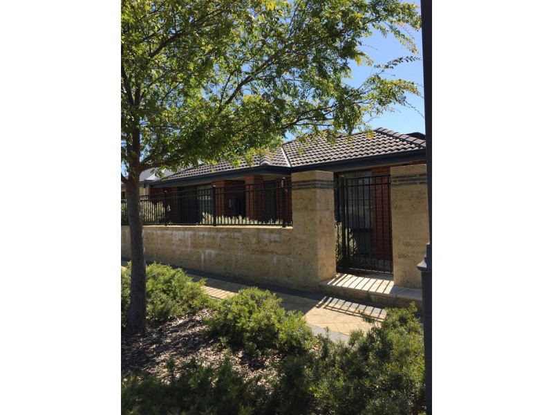 19 Boobook Lane, Baldivis WA 6171