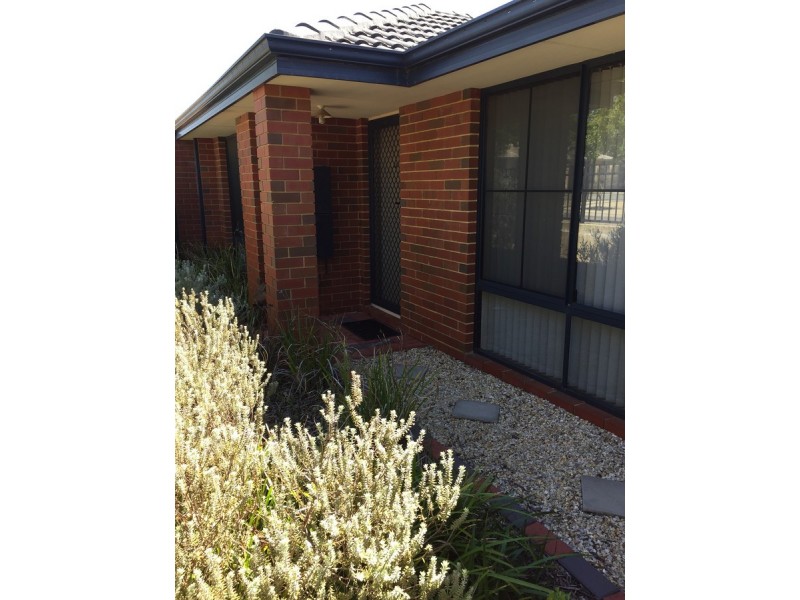 19 Boobook Lane, Baldivis WA 6171