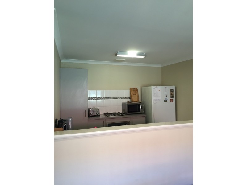 19 Boobook Lane, Baldivis WA 6171