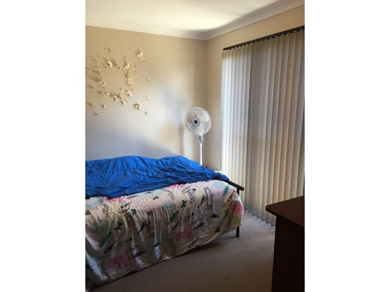 19 Boobook Lane, Baldivis WA 6171