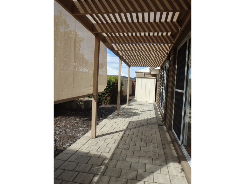 19 Grier Cresent, Baldivis WA 6171