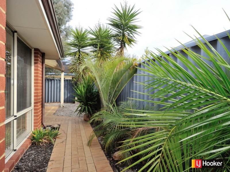 38 Litoria Turn, Baldivis WA 6171