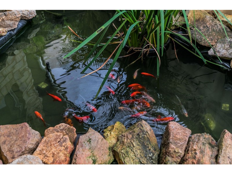 37 Edgbaston Crescent, Port Kennedy WA 6172