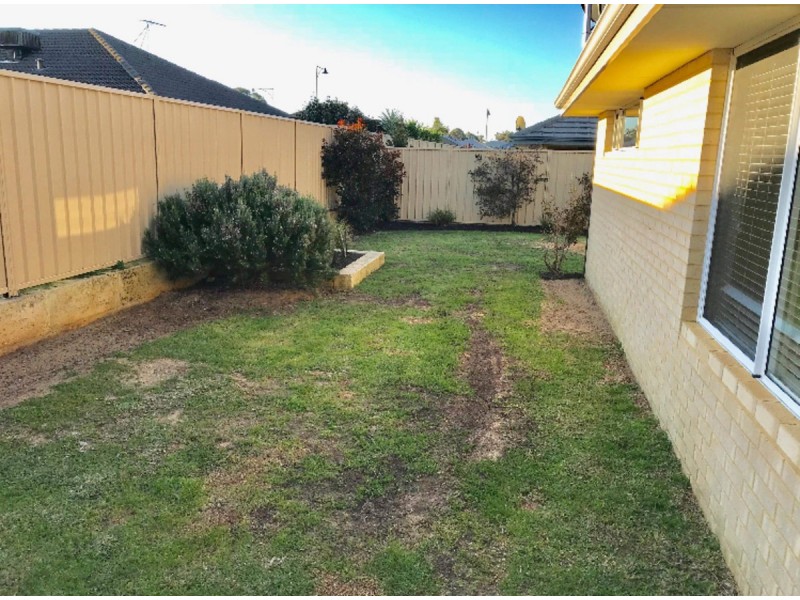 19 Borough Road, Baldivis WA 6171