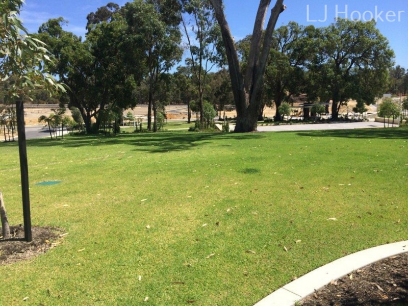 11 Niagara Street, Baldivis WA 6171