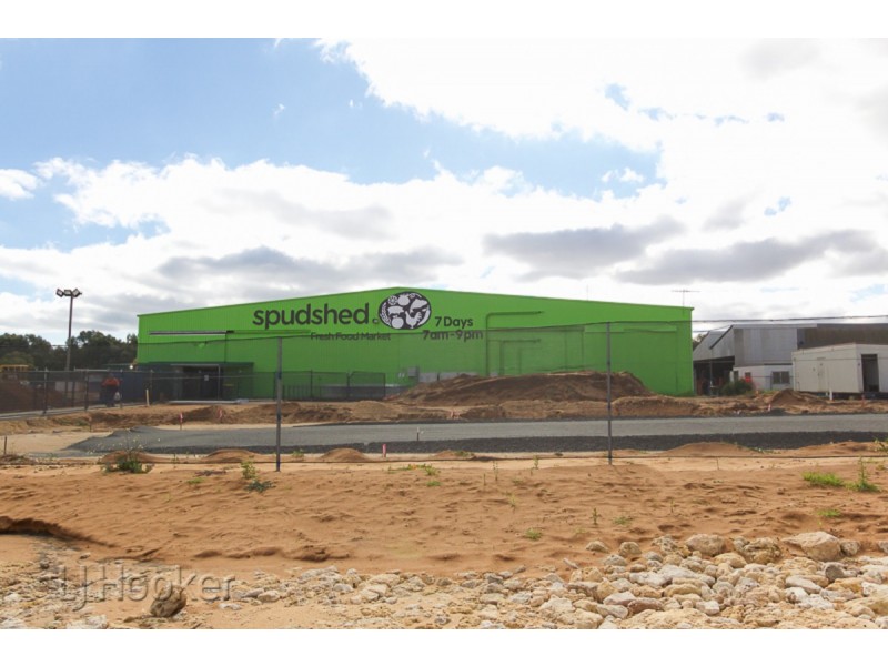 4 Desiree Drive, Baldivis WA 6171