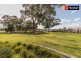41 Ingarfield Green, Baldivis WA 6171
