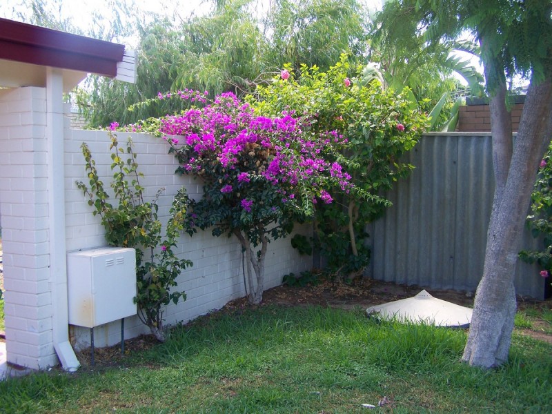 3 Crater Place, Rockingham WA 6168
