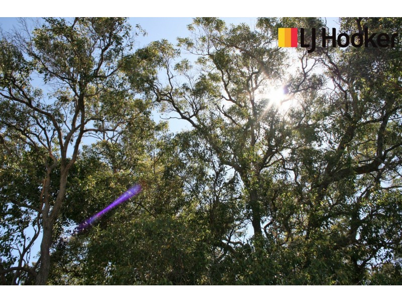 Lot 142/28 Westwood Crescent, Baldivis WA 6171