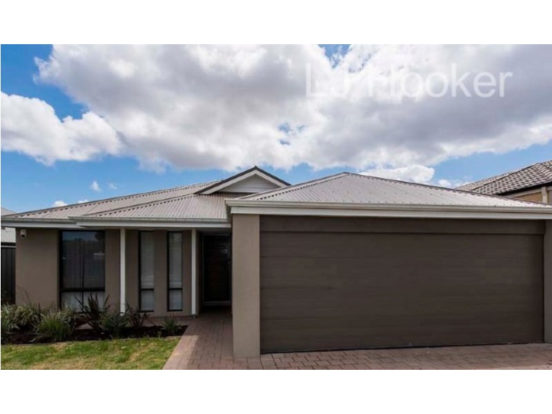 13 Reushaw Link, Baldivis WA 6171