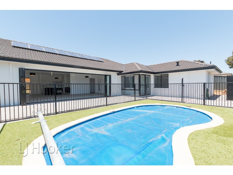 11 Platypus Green, Baldivis WA 6171