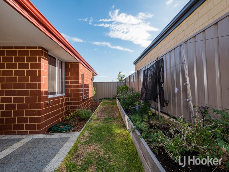 13 Dandelion Road, Karnup WA 6176