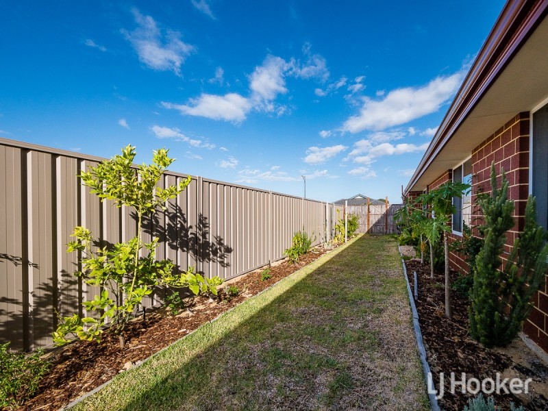 13 Dandelion Road, Karnup WA 6176