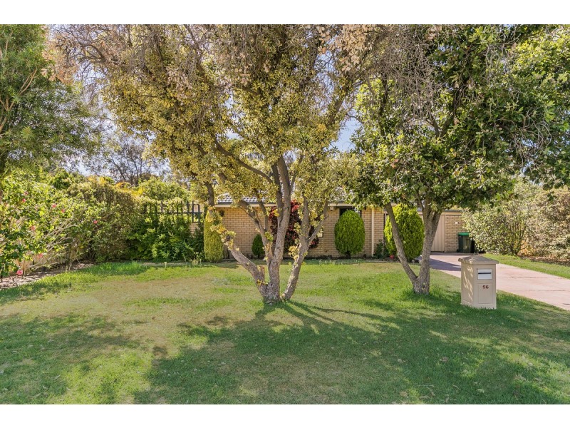 56 Kenton Way, Rockingham WA 6168