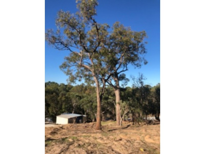 13 Treetop Way, Baldivis WA 6171