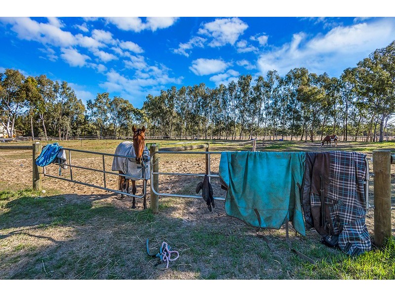 237 Young Road, Baldivis WA 6171