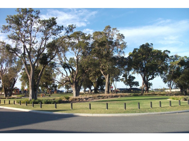 31 Karridale Loop, Baldivis WA 6171