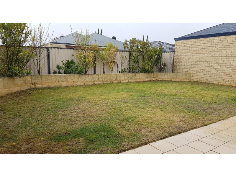 8 Teocote Crescent, Aubin Grove WA 6164