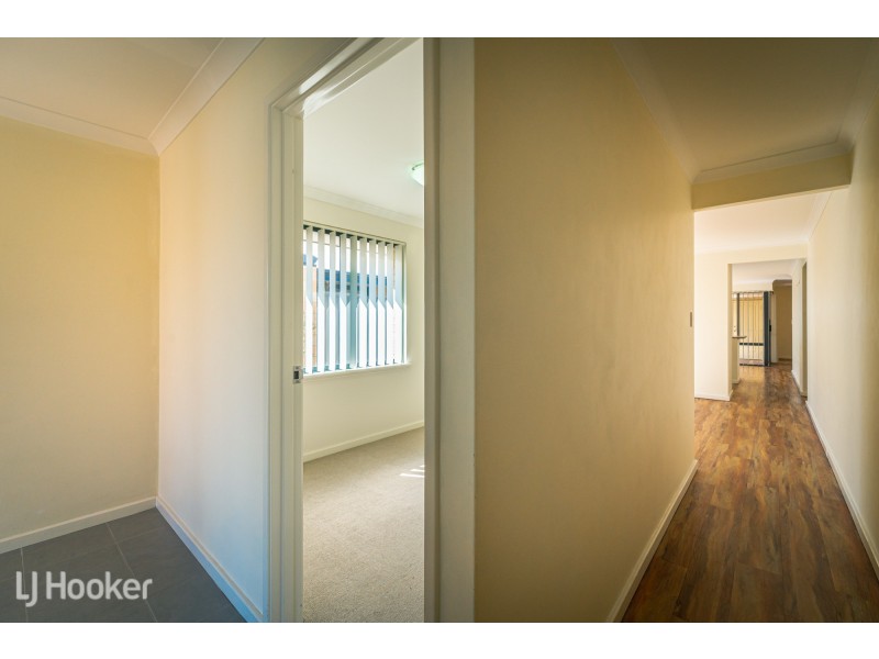 8 Bluebill Lane, Baldivis WA 6171