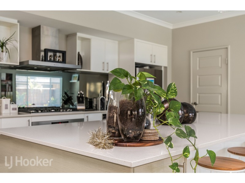 20 Dorado Street, Singleton WA 6175