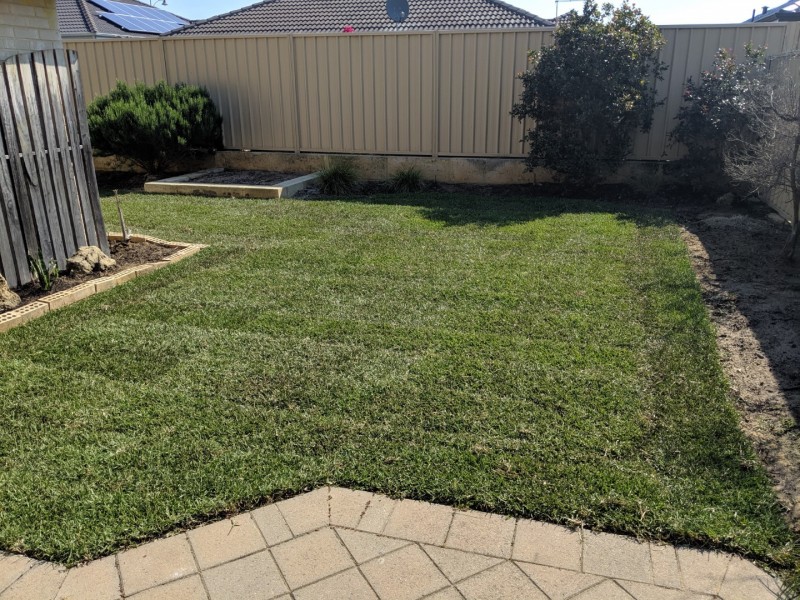 19 Borough Road, Baldivis WA 6171