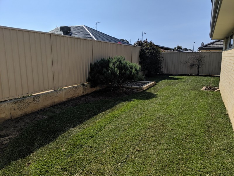 19 Borough Road, Baldivis WA 6171