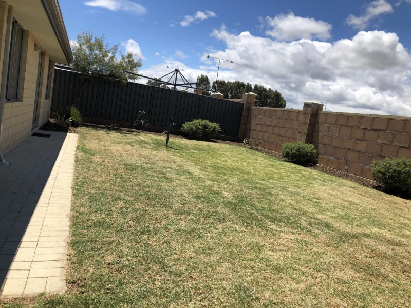 22 Prendergast Turn, Baldivis WA 6171