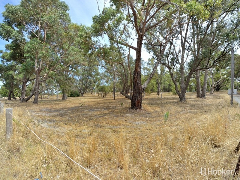 34 Fifty Road Lot 62, Baldivis WA 6171