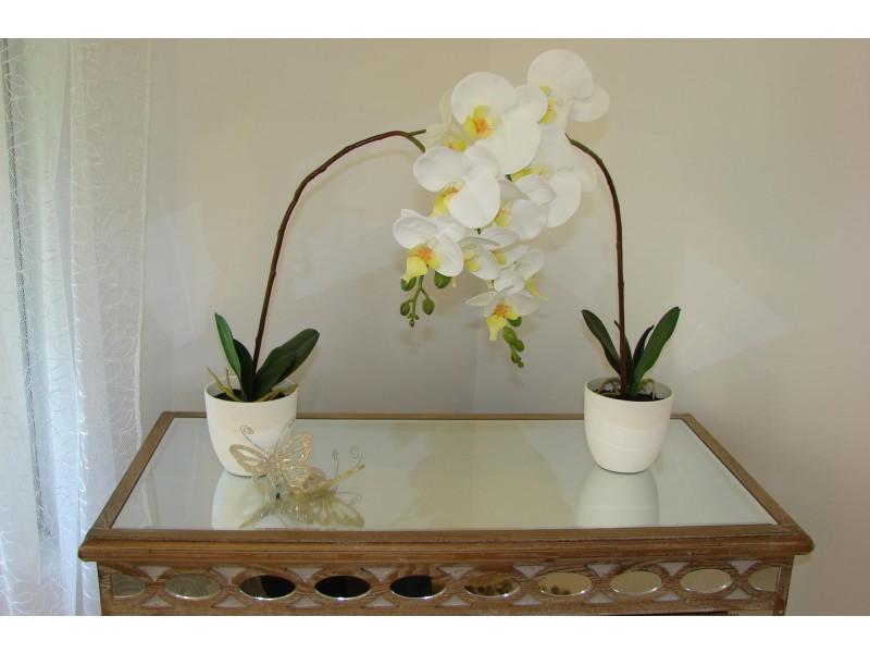 13/4 Minchinson Street, Shoalwater WA 6169