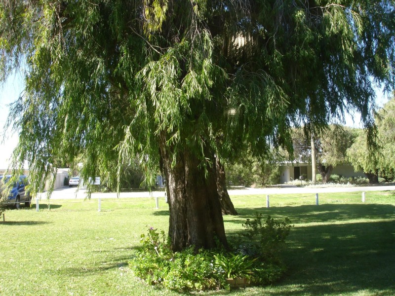 13/4 Minchinson Street, Shoalwater WA 6169