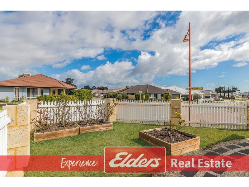 8 Pinto Avenue, Baldivis WA 6171