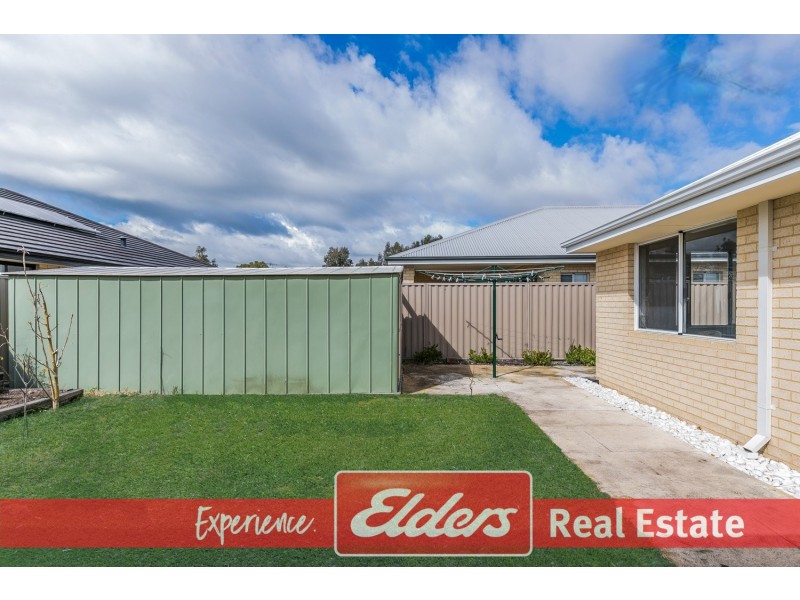 8 Pinto Avenue, Baldivis WA 6171